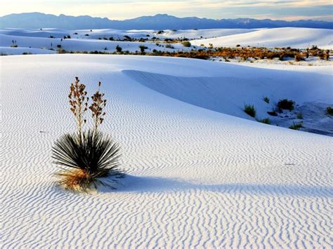 White Sands The Largest Gypsum Desert In The World Usa Places To