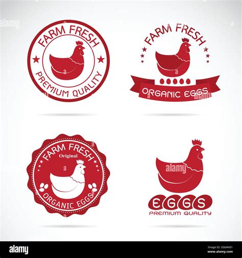 Conjunto De Vector Una Etiqueta De Pollo Y Huevos Sobre Fondo Blanco