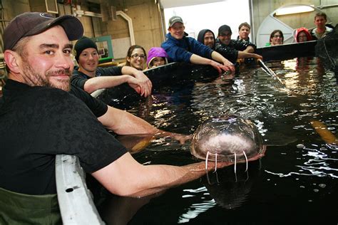We did not find results for: No-Kill Caviar: Can it Save an Endangered Species? | Civil ...