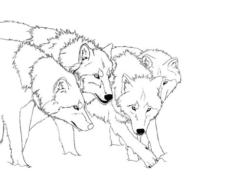 Animal coloring pages for kids we have collected the best wolf coloring pages available online. Wolf Howling At Moon Drawing at GetDrawings | Free download