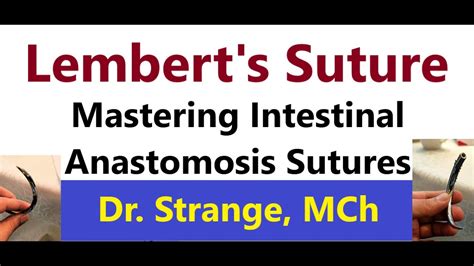 Mastering Lembert Sutures Split Demo A Comprehensive Guide For Sx