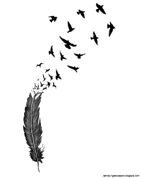Free Flying Bird Drawing Download Free Flying Bird Drawing Png Images
