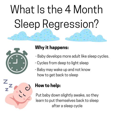 Babies Sleep Expert in 2021 | Sleep cycle, Sleep, Baby sleep