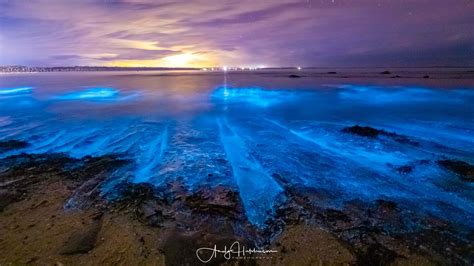 Sunset And Bioluminesence In Jervis Bay Andy Hutchinson