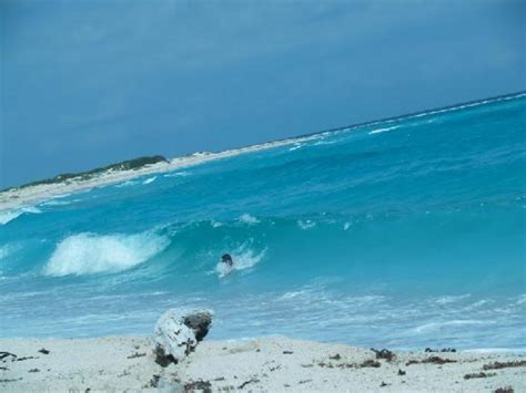 Surfing Aruba Where To Surf In Aruba Hubpages