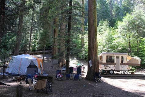 Giant sequoias are the main attraction, but visitors will find beauty in the smaller details, too. Pin on Happy Camping