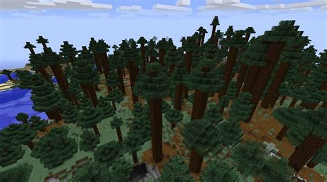 Taiga Biomes In Minecraft Everything Players Need To Know