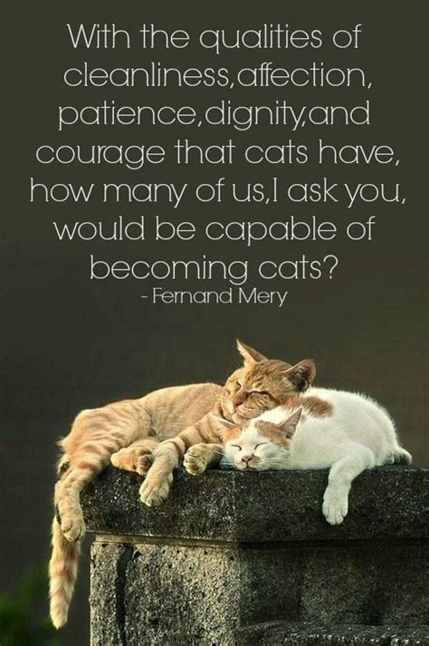 These following quotes reflect on the nature of having a dog and why it creates such. Spiritual Cat Quotes. QuotesGram