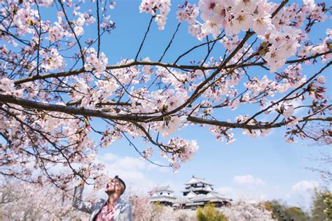 Everything You Need To Know About Japans 2021 Cherry Blossom Season