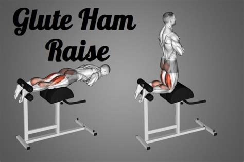 Mastering The Glute Ham Raise A Comprehensive Guide To Targeting Your