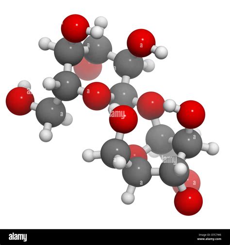 Sugar Sucrose Saccharose Molecule Chemical Structure Atoms Are