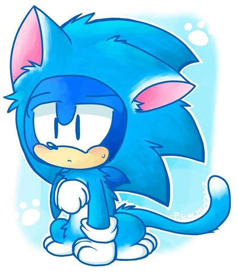 Sonic As A Cat So Cute Sonic The Hedgehog Amino