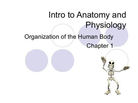 Chapter 1 Notes Intro To Anatomy And Physiology