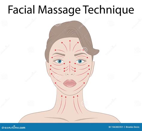 Facial Massage Technique And Shiatsu Points Acupuncture Vector Illustration Stock Vector