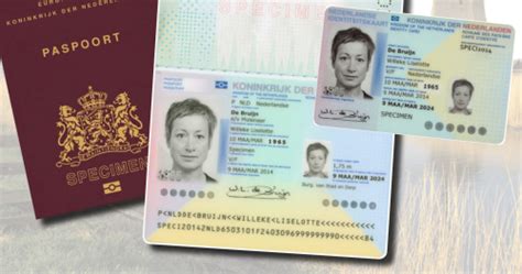 Buy Netherland Dutch Passport, Make a Fake Passport online, Fake Passport Cost