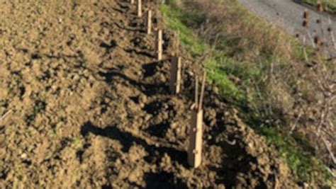 200 arbres plantés pour lutter contre l’érosion - lindependant.fr