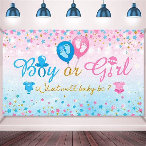 Buy Gender Reveal Party Supplies Gender Reveal Background Boy Or Girl