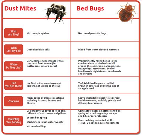 Dust Mites Versus Bed Bugs Bed Bug Bites Bed Bug Remedies Bed Bugs