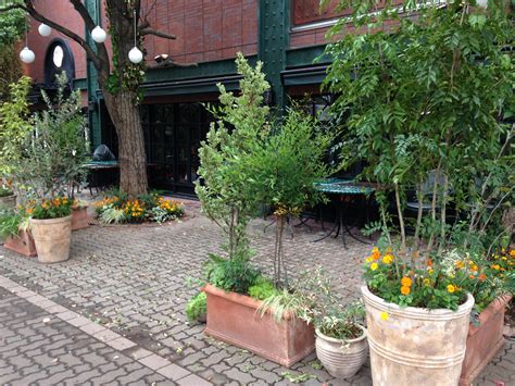 Green trees and outdoor flower plants in the japanese zen garden. Example of a Japanese cafe store front using plants to ...
