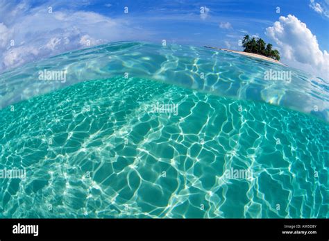 Gilligans Island Hi Res Stock Photography And Images Alamy