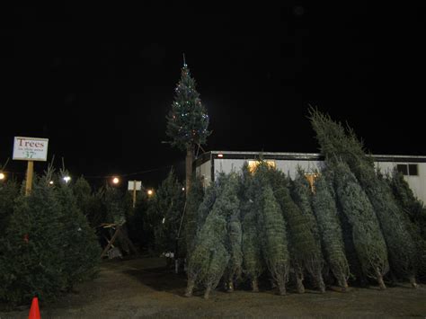 Christmas Trees At Eden Prairie Center Bj Trees