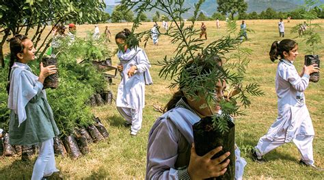 Planting 10 Billion Trees