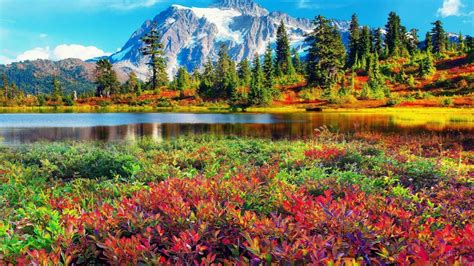 Grass Lake Cascades Peaks Plants Beautiful Colors Mountains Park