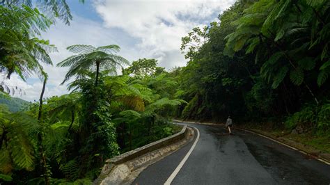 El Yunque National Forest Eastern Region Puerto Rico Book Tickets