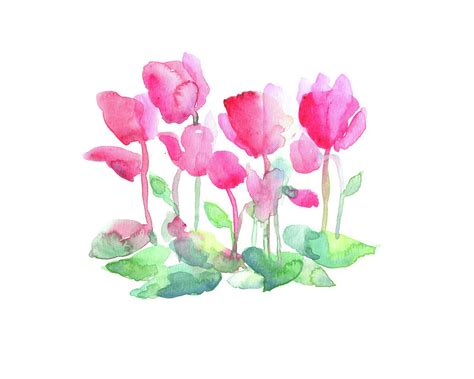 Wall Décor Cyclamen Flowers botanical painting Red Green floral artwork