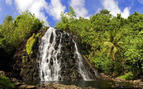 Palm Trees Waterfall Nature Wallpaper 51504 1920x1200px On