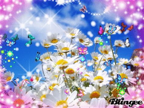 Spring flowers tulips, hyacinths, anemone, primroses in bloom and butterfly. catapilar spring butterfly summer Picture #97037165 ...