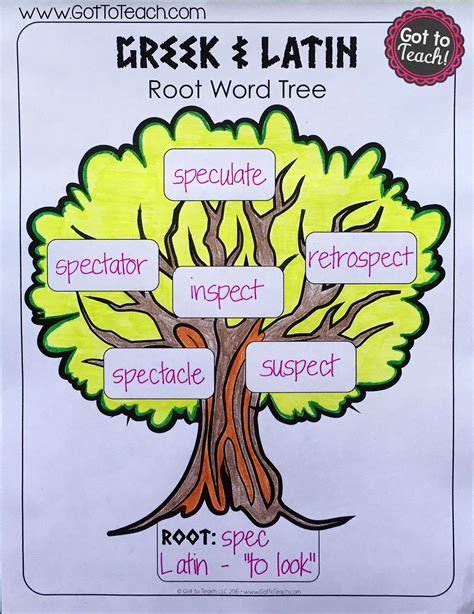 Greek And Latin Root Word Tree And Several Other Free Vocabulary