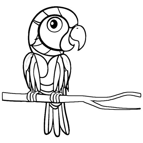 Hand Drawn Parrot Outline Illustration Coloring Page · Creative Fabrica
