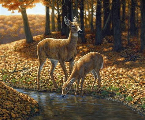 Whitetail Deer Autumn Innocence 1 Painting By Crista Forest