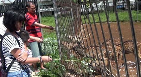 Tak hanya itu, lokasinya juga telah ditata kekinan dan fotogenik di beberapa sudut. Jadwal Buka Taman Rusa : JAM BUKA TAMAN PINTAR YOGYAKARTA | JAM (KERJA) BUKA DAN TUTUP : Rp 15 ...