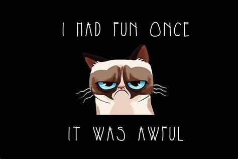 Grumpy Cat Quotes Funny Prank Poster Grumpy Cat Cartoon Grumpy Cat