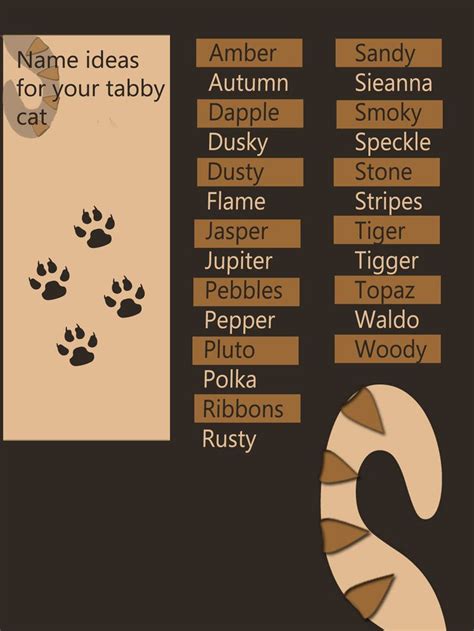 An Image Of A Cats Name And Paw Prints