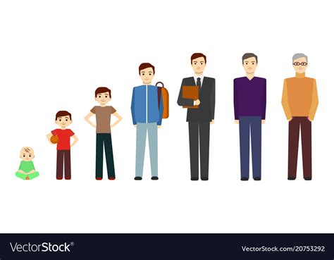 Cartoon Stages Of Growth Character Man Royalty Free Vector