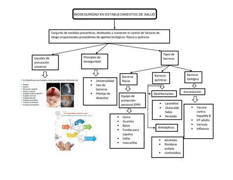 Mapa Conceptual Biologia Docsity