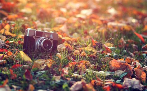 Free 20 Vintage Photography Desktop Wallpapers In Psd Vector Eps