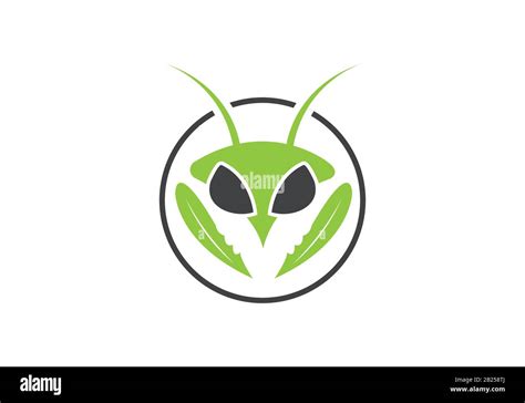 Insect Killer Logo Insect Logo Design Stock Vector Image And Art Alamy