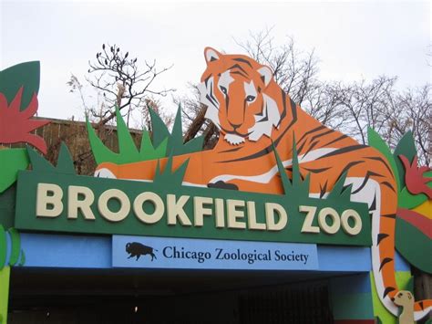 Ability Chicago Info Blog Brookfield Zoo Gets 1m Funding To Develop
