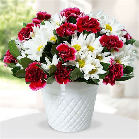 Send Flowers Turkey Pink Carnations And Daisies In Ceramic Vase From 11usd