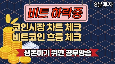 비트코인 흐름이 깨지면 현금확보후 관망해야 합니다 Youtube