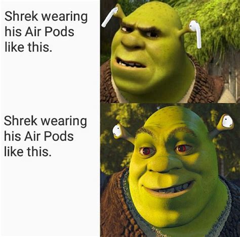 Pin By Qᴜɪɴᴛᴇꜱꜱᴇɴᴄᴇ On ⓣⓗⓔ ⓥⓞⓘⓓ Shrek Memes Shrek Stupid Funny Memes