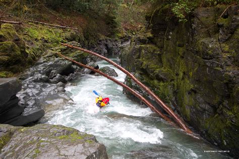 Kayaking The Elk River In Oregon Northwest Rafting Company