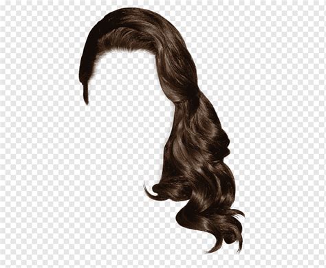 Ilustración de cabello castaño para mujer peinado peluca de pelo largo estilo gente pasador
