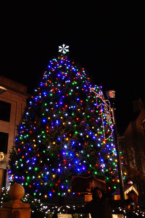Annual Christmas Tree Lighting City Of Linden