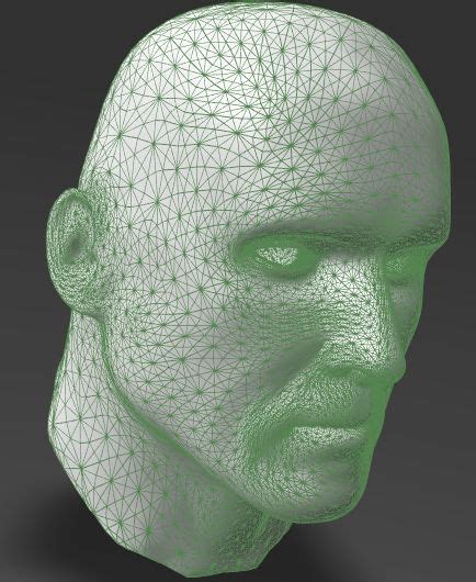 3d Printable Model Solid Male Head 1 Cgtrader