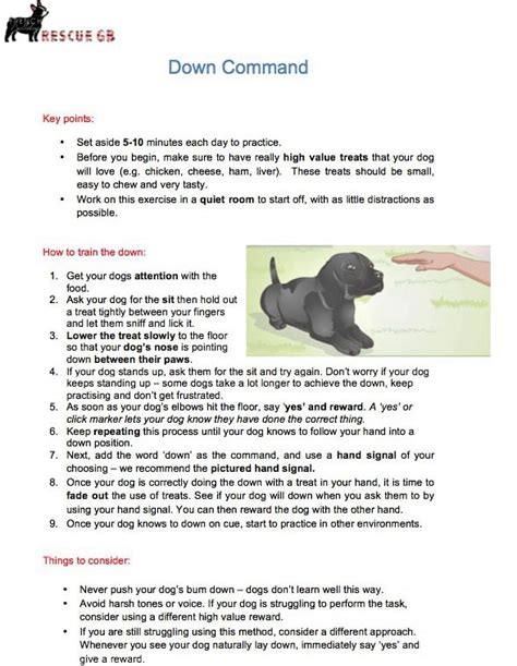 Training Guides Behavioural Advice French Bulldog Rescue Gb